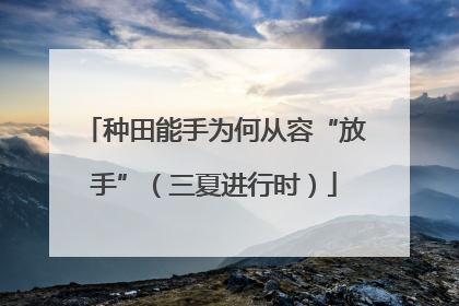 种田能手为何从容“放手”（三夏进行时）